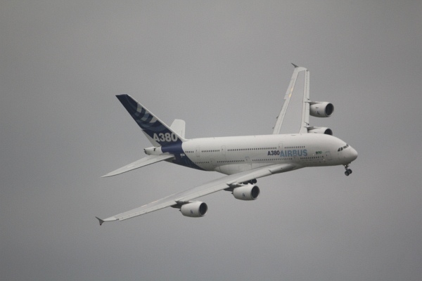 ILA2010-12   085.jpg